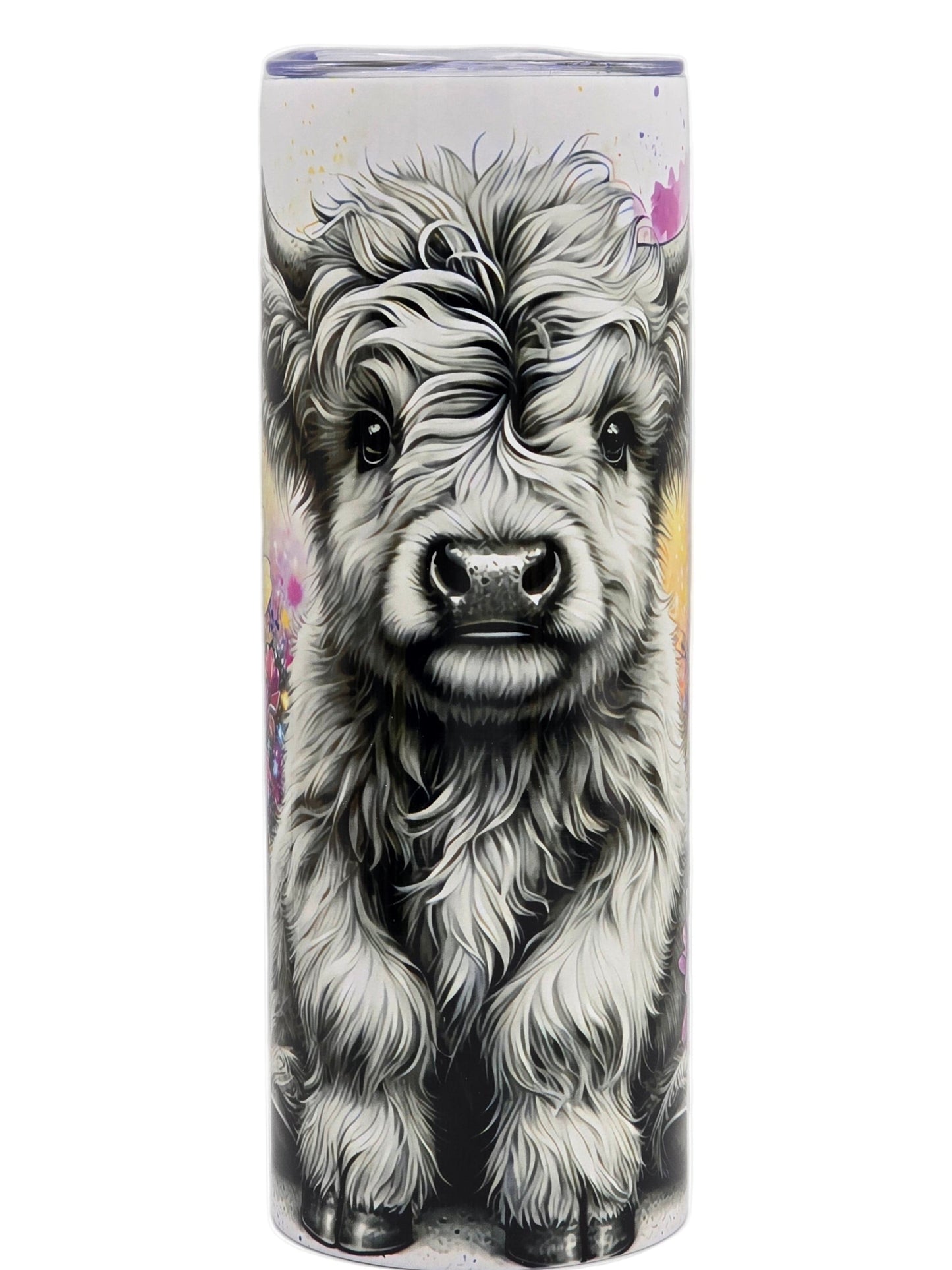 Highland Cow
